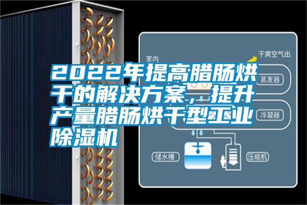 2022年提高臘腸烘干的解決方案，提升產(chǎn)量臘腸烘干型工業(yè)除濕機(jī)