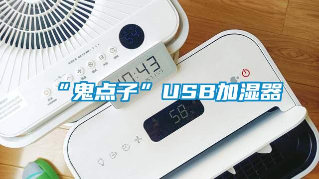 “鬼點子”USB加濕器