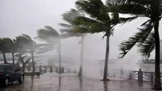 8月臺風(fēng)雨即將來，除濕機還得用起來