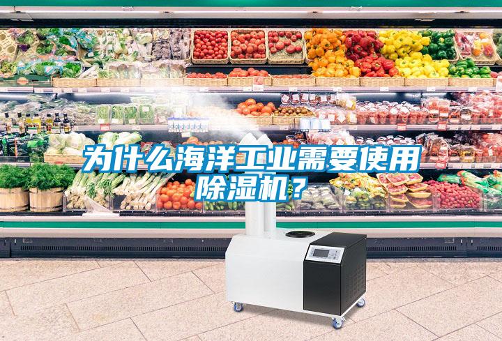 為什么海洋工業(yè)需要使用除濕機？