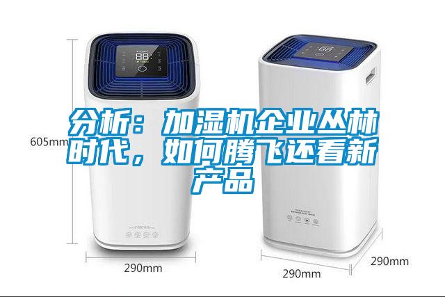 分析：加濕機企業(yè)叢林時代，如何騰飛還看新產(chǎn)品