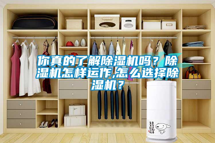 你真的了解除濕機嗎？除濕機怎樣運作,怎么選擇除濕機？