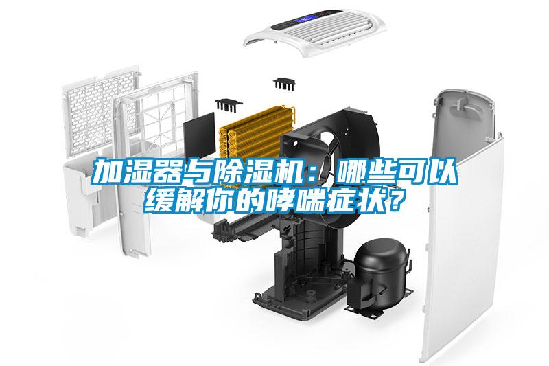 加濕器與除濕機(jī)：哪些可以緩解你的哮喘癥狀？