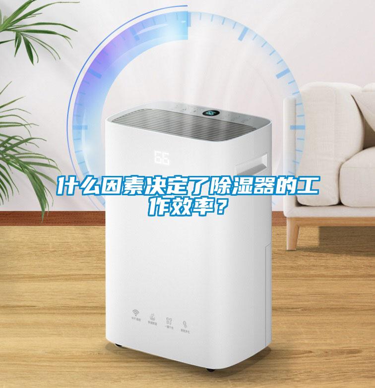 什么因素決定了除濕器的工作效率？