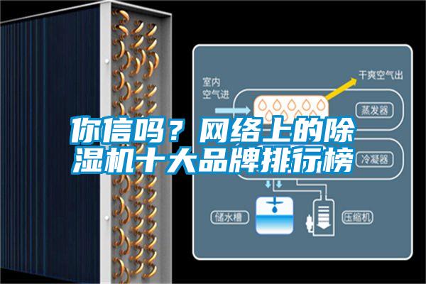 你信嗎？網(wǎng)絡上的除濕機十大品牌排行榜