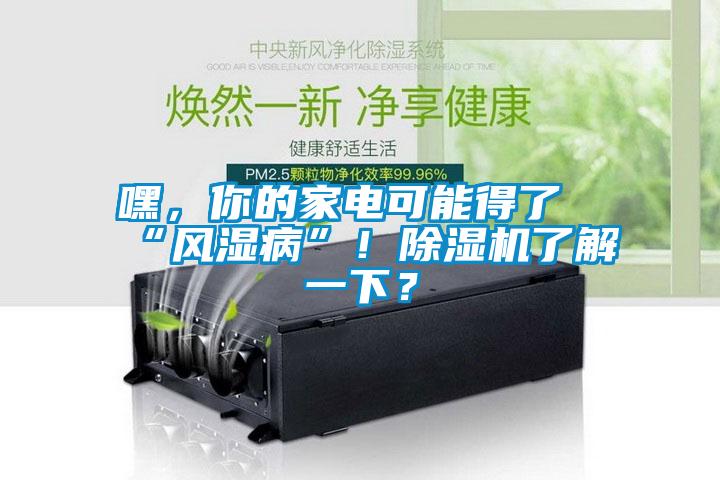 嘿，你的家電可能得了“風(fēng)濕病”！除濕機(jī)了解一下？