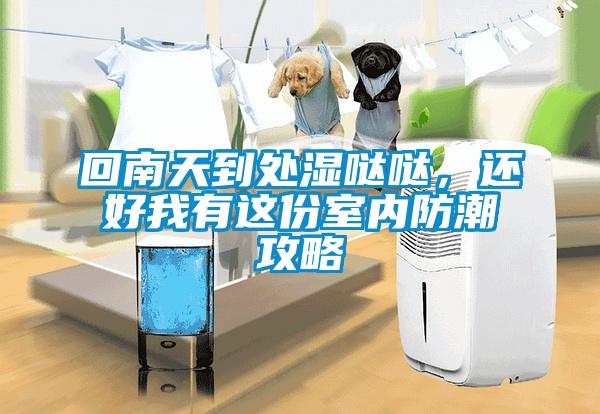 回南天到處濕噠噠，還好我有這份室內(nèi)防潮攻略