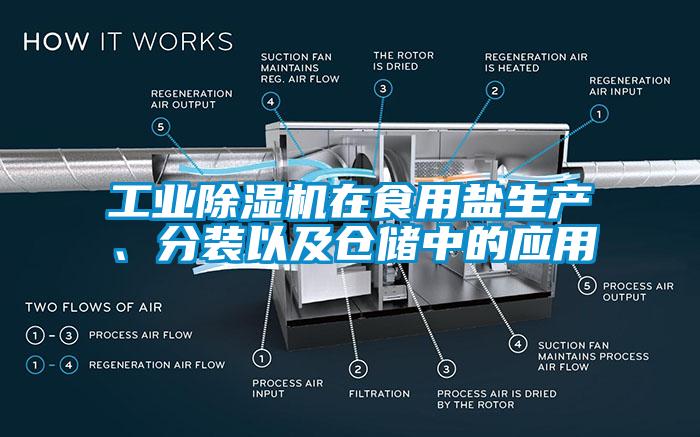 工業(yè)除濕機(jī)在食用鹽生產(chǎn)、分裝以及倉儲中的應(yīng)用