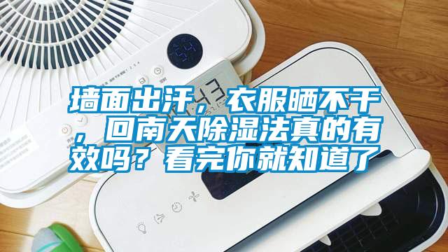 墻面出汗，衣服曬不干，回南天除濕法真的有效嗎？看完你就知道了