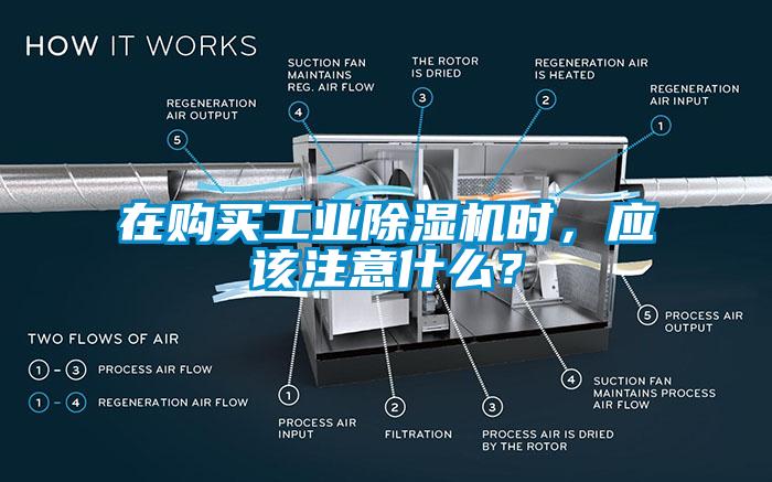 在購(gòu)買(mǎi)工業(yè)除濕機(jī)時(shí)，應(yīng)該注意什么？