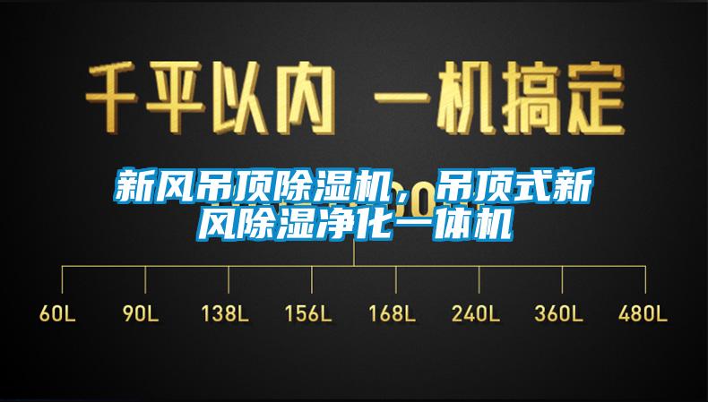 新風吊頂除濕機，吊頂式新風除濕凈化一體機