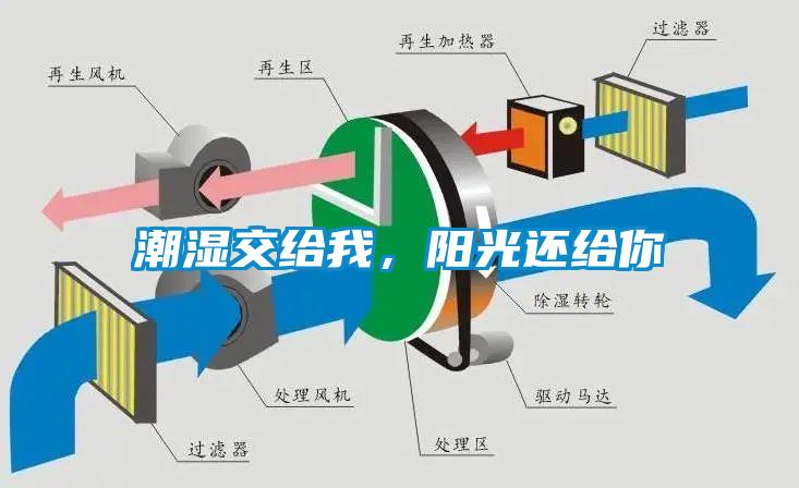 潮濕傷于無形，除濕機(jī)來防范