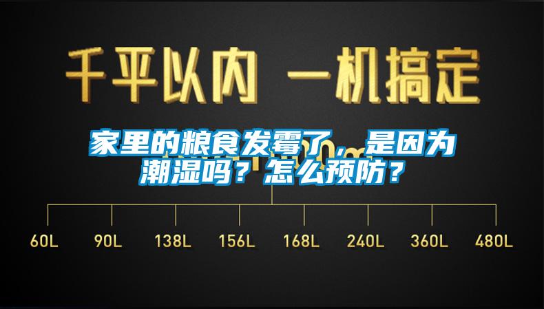 家里的糧食發(fā)霉了，是因?yàn)槌睗駟幔吭趺搭A(yù)防？