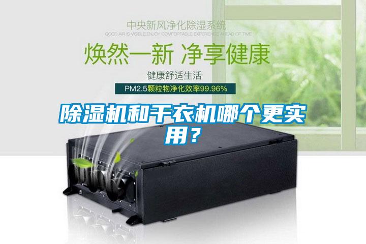 除濕機和干衣機哪個更實用？