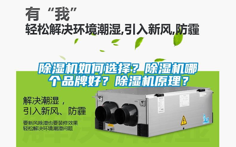 除濕機如何選擇？除濕機哪個品牌好？除濕機原理？