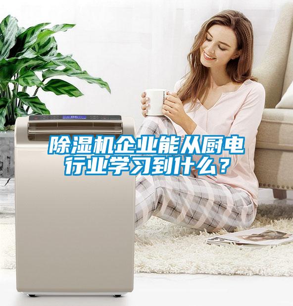 除濕機(jī)企業(yè)能從廚電行業(yè)學(xué)習(xí)到什么？