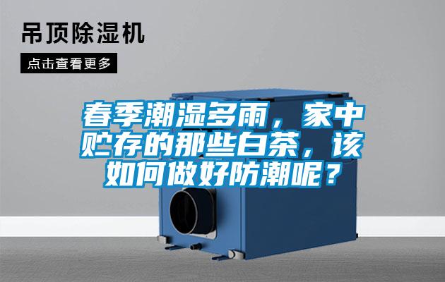 春季潮濕多雨，家中貯存的那些白茶，該如何做好防潮呢？