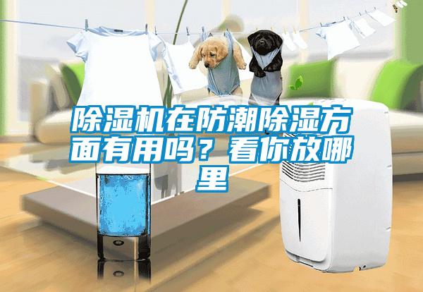 除濕機在防潮除濕方面有用嗎？看你放哪里