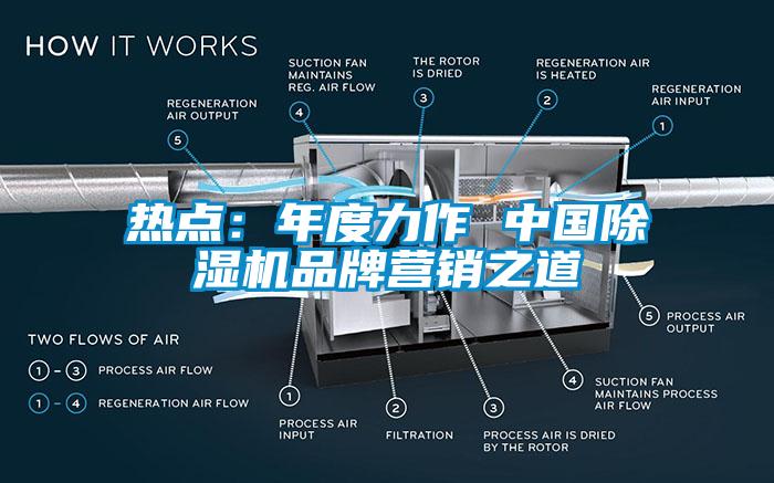 熱點(diǎn)：年度力作 中國(guó)除濕機(jī)品牌營(yíng)銷之道