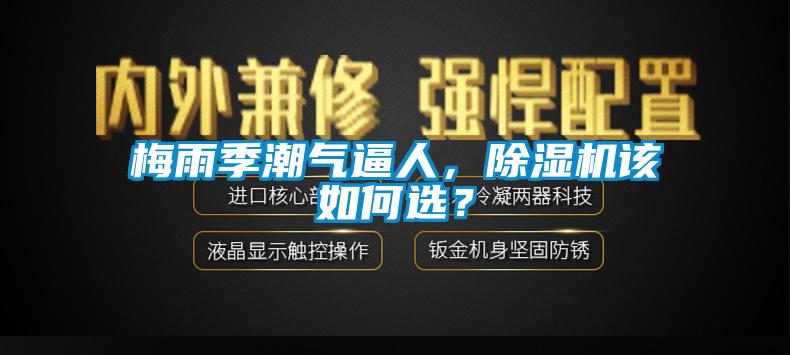 梅雨季潮氣逼人，除濕機該如何選？