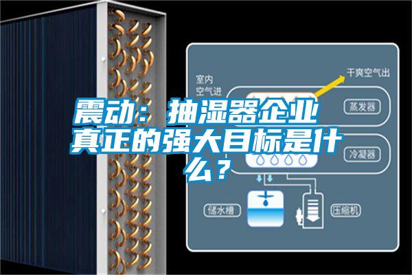 震動：抽濕器企業(yè) 真正的強大目標是什么？