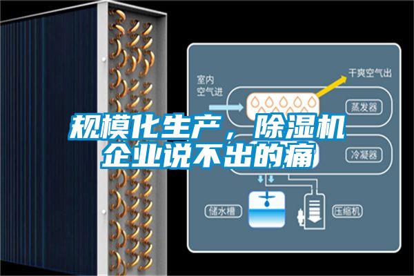 規(guī)模化生產(chǎn)，除濕機(jī)企業(yè)說(shuō)不出的痛