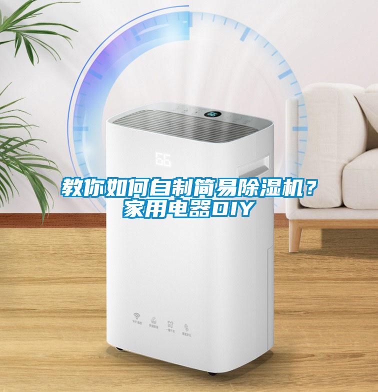 教你如何自制簡(jiǎn)易除濕機(jī)？家用電器DIY