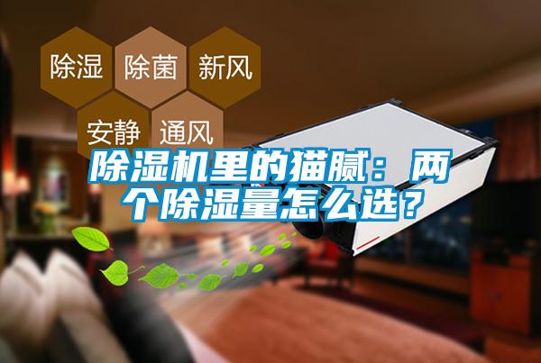 除濕機里的貓膩：兩個除濕量怎么選？