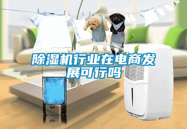 除濕機行業(yè)在電商發(fā)展可行嗎