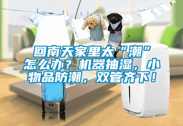 回南天家里太“潮”怎么辦？機器抽濕，小物品防潮，雙管齊下！