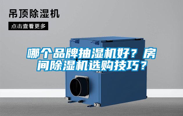 哪個品牌抽濕機好？房間除濕機選購技巧？