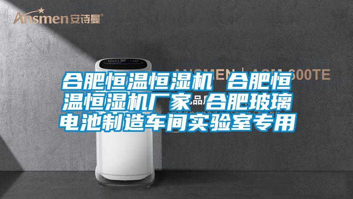 合肥恒溫恒濕機 合肥恒溫恒濕機廠家 合肥玻璃電池制造車間實驗室專用