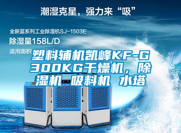 塑料輔機凱峰KF-G300KG干燥機，除濕機 吸料機 水塔