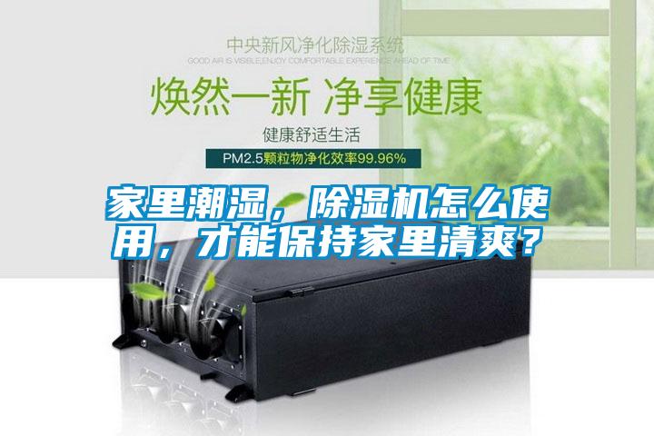 家里潮濕，除濕機(jī)怎么使用，才能保持家里清爽？