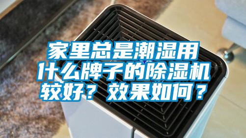 家里總是潮濕用什么牌子的除濕機較好？效果如何？