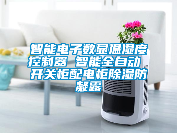 智能電子數(shù)顯溫濕度控制器 智能全自動 開關(guān)柜配電柜除濕防凝露