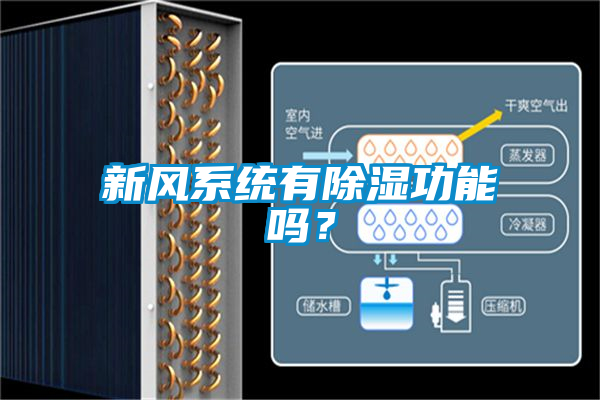 新風(fēng)系統(tǒng)有除濕功能嗎？