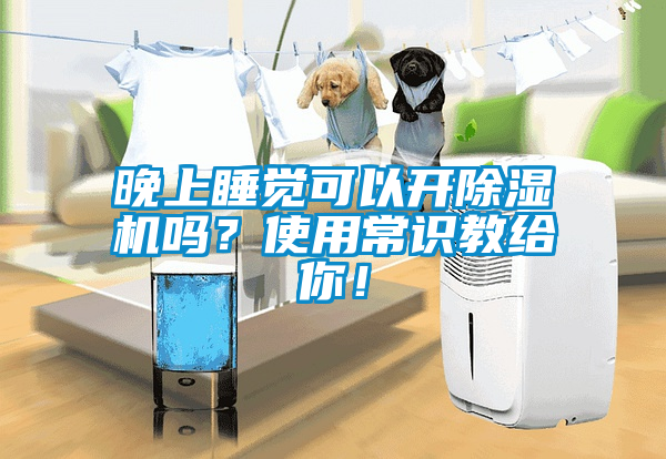 晚上睡覺可以開除濕機嗎？使用常識教給你！