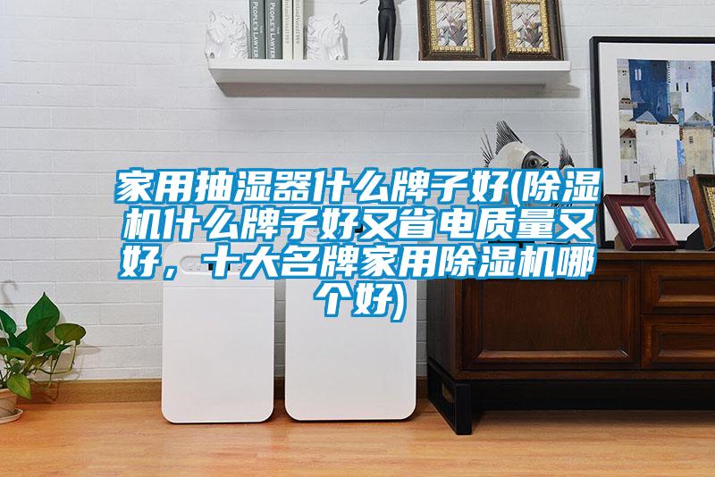 家用抽濕器什么牌子好(除濕機(jī)什么牌子好又省電質(zhì)量又好，十大名牌家用除濕機(jī)哪個好)