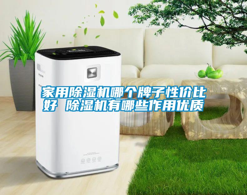 家用除濕機哪個牌子性價比好 除濕機有哪些作用優(yōu)質(zhì)