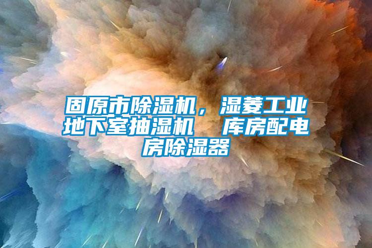 固原市除濕機，濕菱工業(yè)地下室抽濕機  庫房配電房除濕器