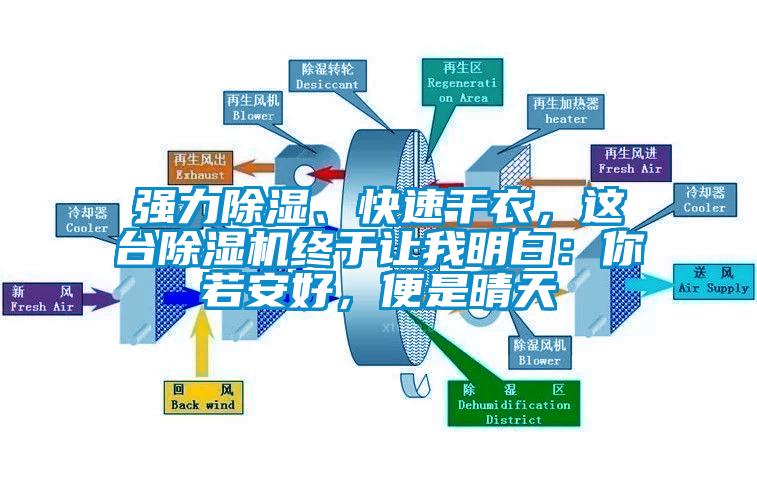 強(qiáng)力除濕、快速干衣，這臺(tái)除濕機(jī)終于讓我明白：你若安好，便是晴天