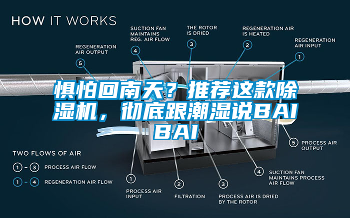 懼怕回南天？推薦這款除濕機(jī)，徹底跟潮濕說(shuō)BAIBAI