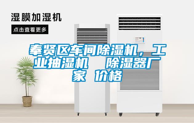 奉賢區(qū)車間除濕機，工業(yè)抽濕機  除濕器廠家 價格