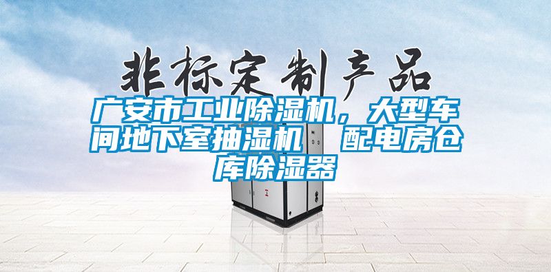 廣安市工業(yè)除濕機，大型車間地下室抽濕機  配電房倉庫除濕器