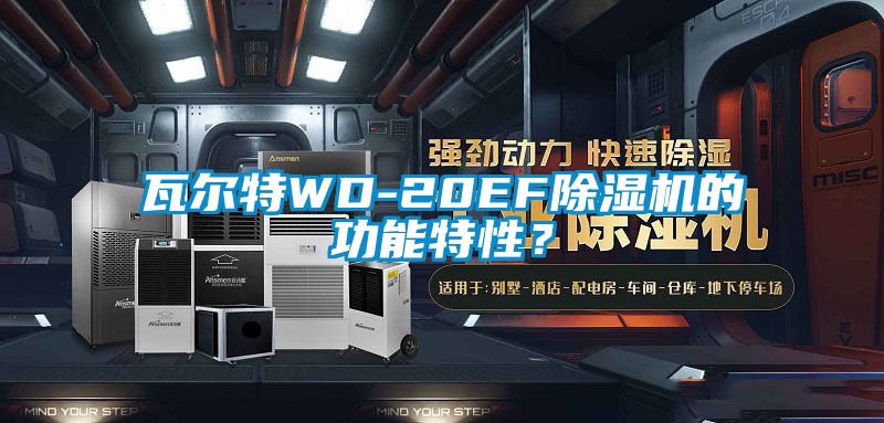 瓦爾特WD-20EF除濕機(jī)的功能特性？