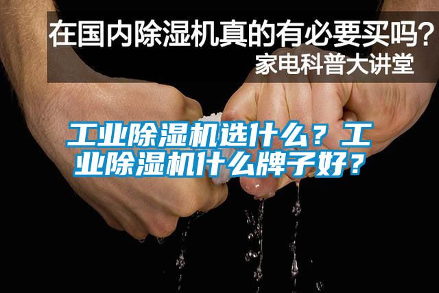 工業(yè)除濕機(jī)選什么？工業(yè)除濕機(jī)什么牌子好？