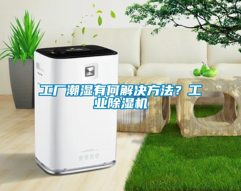 工廠潮濕有何解決方法？工業(yè)除濕機