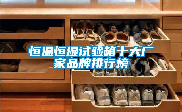 恒溫恒濕試驗(yàn)箱十大廠家品牌排行榜