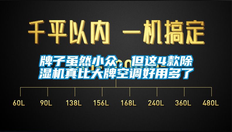 牌子雖然小眾，但這4款除濕機真比大牌空調(diào)好用多了